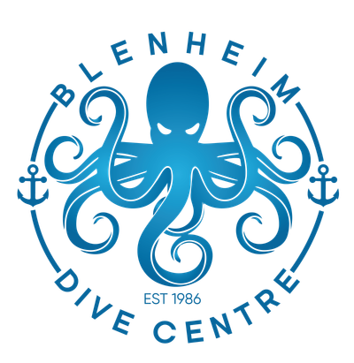 Blenheim Dive Centre