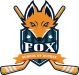 Fox School of Hockey
