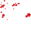 Trust Yourself