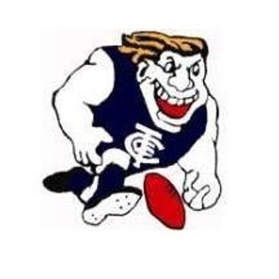 Tweed Coolangatta Junior AFL Club