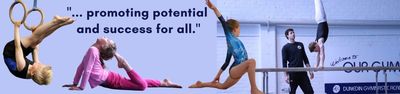 Dunedin Gymnastic Academy- Vogel Location