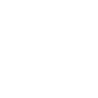 Project Surf