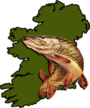 Angling Services Ireland
