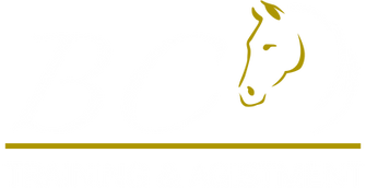 BC Horse Training