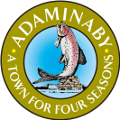 Adaminaby Swimming POOL