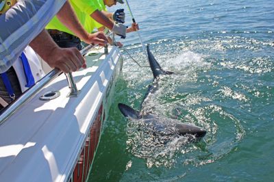 St. Andrews Sport Fishing Co.