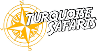Turquoise Safaris - Sea Lion Tours