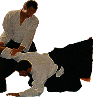 Section Aikido Of La Maison De Papier Section Aikido Of La Maison De Papier