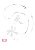 Shaolin Kung Fu Studio