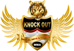 Mixed Martial Arts MMA Classes
