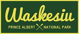 Waskesiu DodgeBall Court