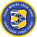 Templeogue Synge Street GFC Bushy Pitches