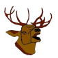 Deer Park Archers Ltd