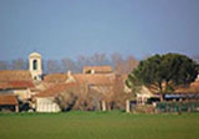 DOJO de Rodilhan