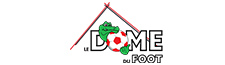 the soccer dome