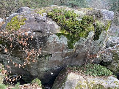 Trois-Pignons NE : Canche aux merciers