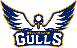 Sylvan Lake Gulls