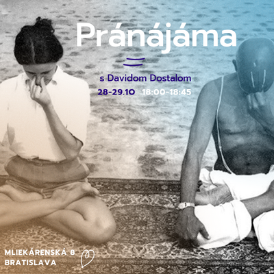 Mini Yoga Shala