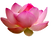 Shanti Spirit Yoga