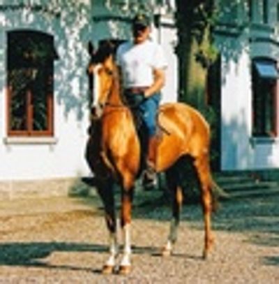 Xenora Horse Empowerment