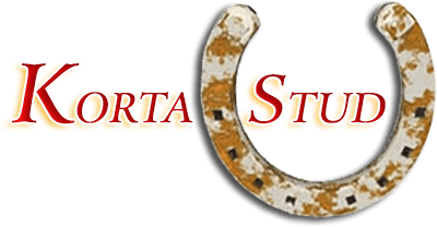 Kortastud