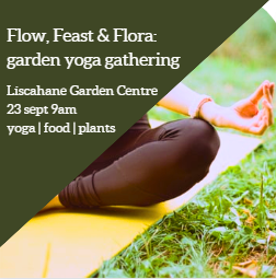 Ebb & Flow Yoga Ireland