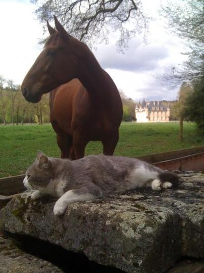 Stud Du Val Des Escholiers