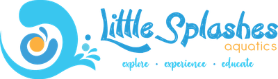 Little Splashes Aquatics | Indoor Heated Pool At Siglap Drive For Babies & Toddlers