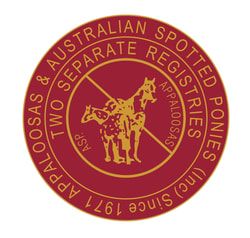 Appaloosas and Australian Spotted Ponies