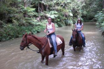 North River Horse & Humanship Centre