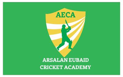 AE Cricket Academy
