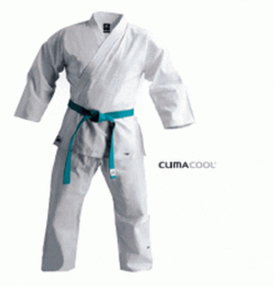 Mind Warrior Karate
