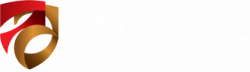Prodefense Academy