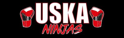 USKA kickboxing