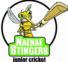 Naenae Cricket Club Naenae Cricket Club