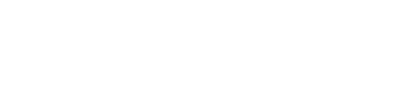 Velo Reality Corp
