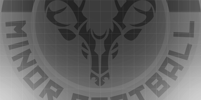 Red Deer Minor Football (RDMF)