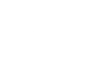 Tuidale Stables - Uretiti Beach horse treks