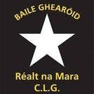 Ballygarrett Gaa Club