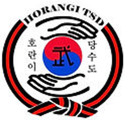 Tiger Academy Tang Soo Do