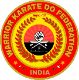 Warrior karate do federation