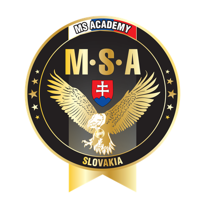 MS Academy