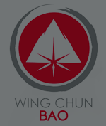 Wing chun bao - wing chun traditionnel Entre Deux Mers Bordeaux