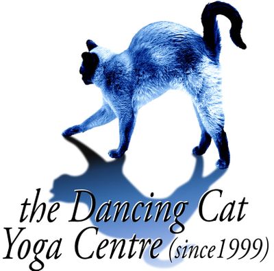 the Dancing Cat Yoga Center
