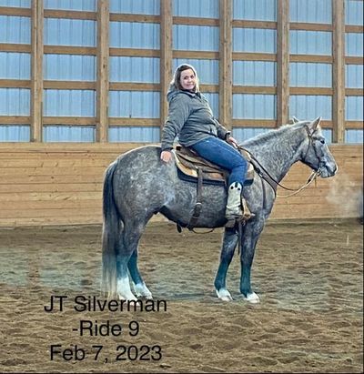 Wruck Riding Centre