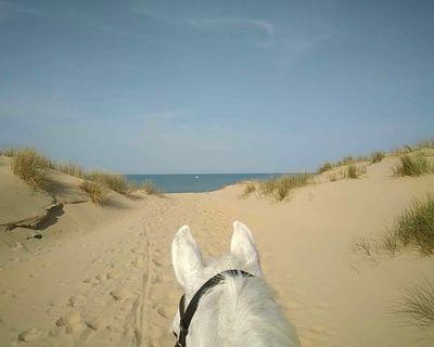 Stables Du Carbet