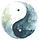 Tai Chi Chuan Limoges Landouge