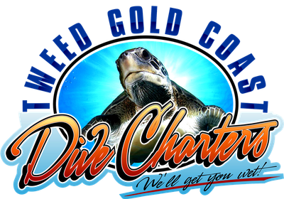 Tweed Gold Coast Dive Charters