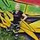 Laura's Health & Dance Fitness