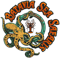 Batavia Sea Safaris